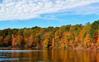 Lake surrounded by trees with fall color leaves